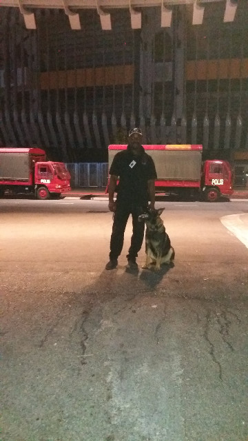 K9 Training Session