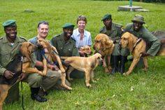 Dog Training Malaysia